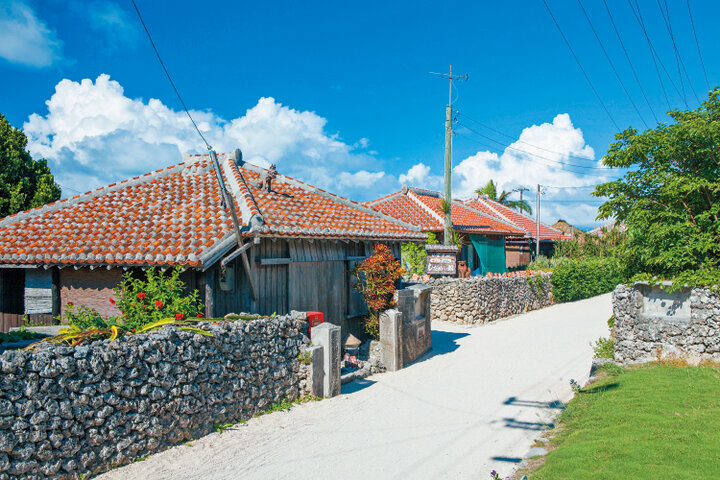 【1番人気の3島めぐり】西表･由布･竹富３島めぐり　竹富島でサイクリング